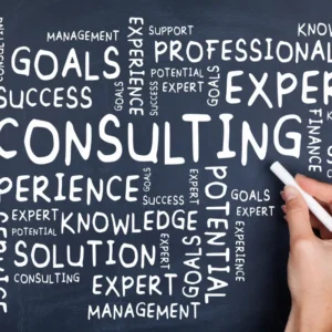 Technical Consultancy Session (1 Hour)